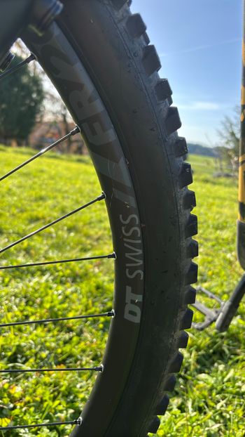Used Canyon Torque 29 AL 6 2022 2022 Mountainbike — image 10 of 11