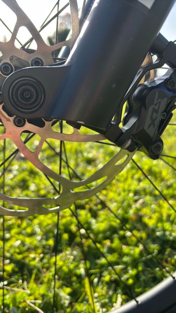 Used Canyon Torque 29 AL 6 2022 2022 Mountainbike — image 9 of 11