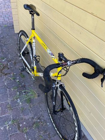 Used Colnago Dream 2000 Road & Gravel, Hellgrau — image 3 of 7