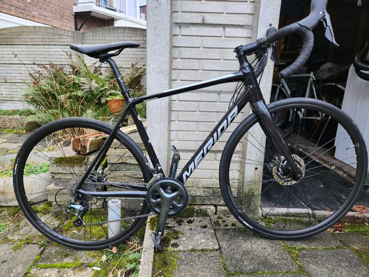 Merida scultura disc 300 sale