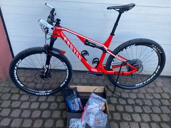 Used Canyon Lux CF SL 8.0 2020 2020 Mountainbike, Red, 29 — image 2 of 11