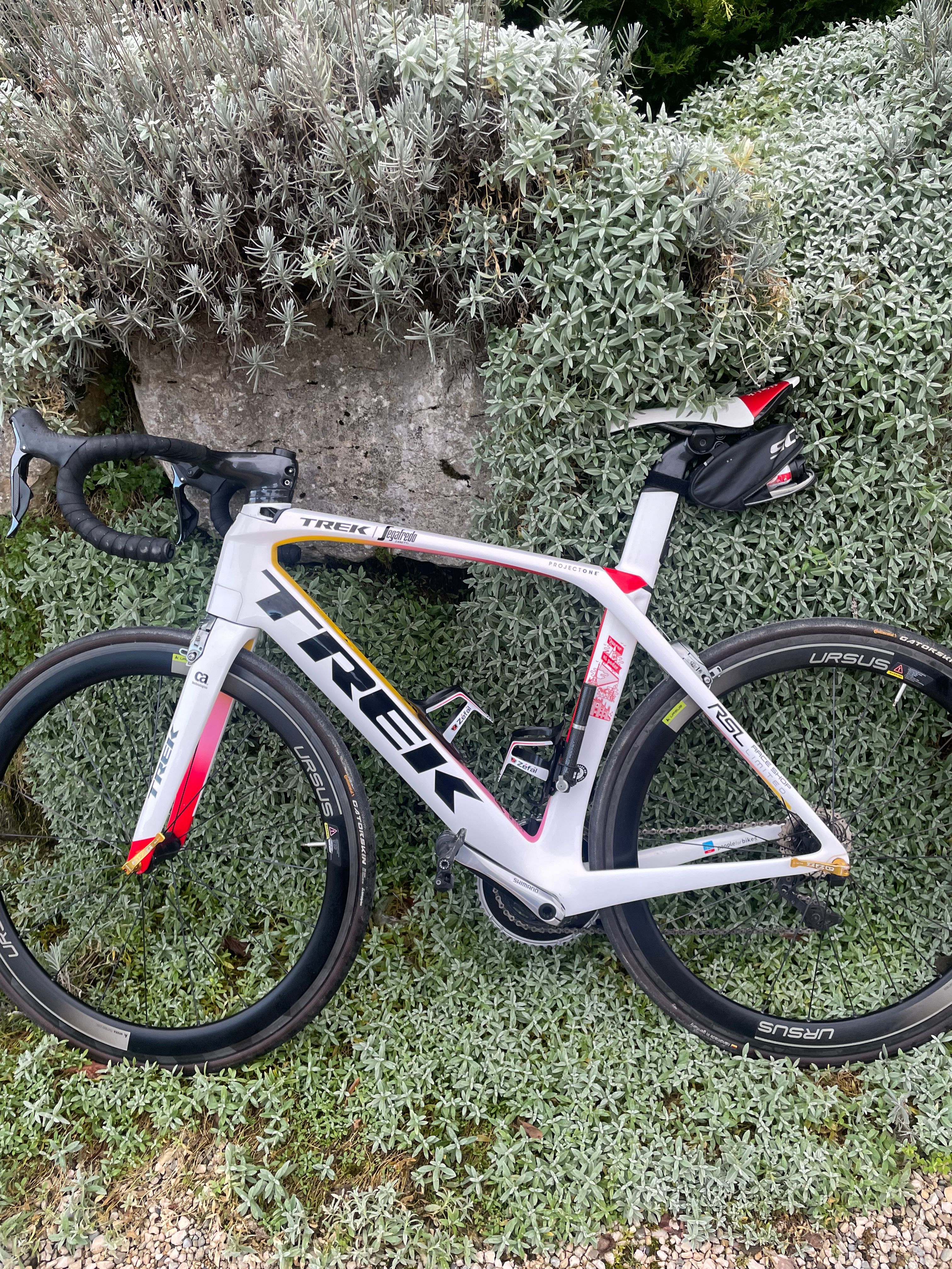 Alberto contador bike online