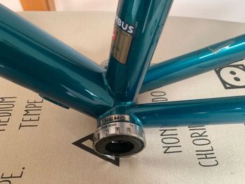 Used Cinelli Nemo Tig Disc Road (Frameset) 2023 Road & Gravel — image 10 of 10
