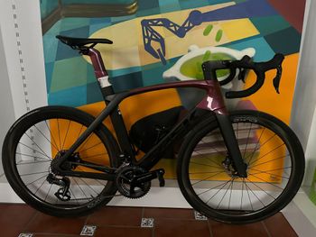 Buy A Used Trek Madone | From $750 | buycycle