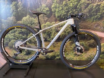 Used Canyon Exceed CF 7 2023 2023 Mountainbike — image 1 of 7