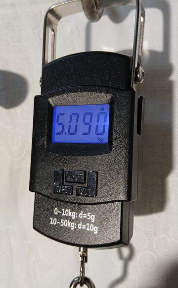 Used Storck Scenario C09 2005 Road & Gravel, Black — image 4 of 57