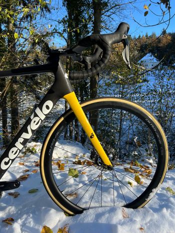 Used Cervélo R5 CX Wout van Aert 2022 Road & Gravel, Black — image 5 of 12
