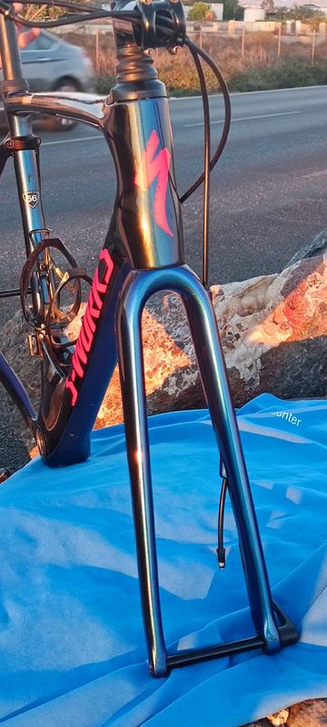 Used Specialized S-Works Roubaix – Team Frameset 2018 Road & Gravel, Blue — image 19 of 19
