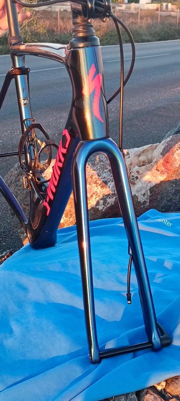 Used Specialized S-Works Roubaix – Team Frameset 2018 Road & Gravel, Blue — image 10 of 19