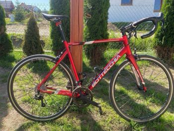 Used Bottecchia Duello 2022 Carretera y gravel