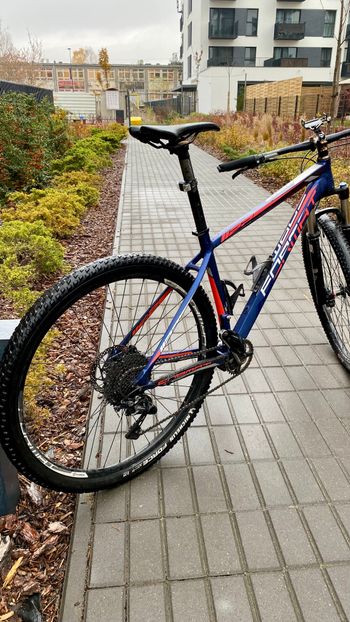 Used Forme Farmat 2020 Mountainbike — image 2 of 8