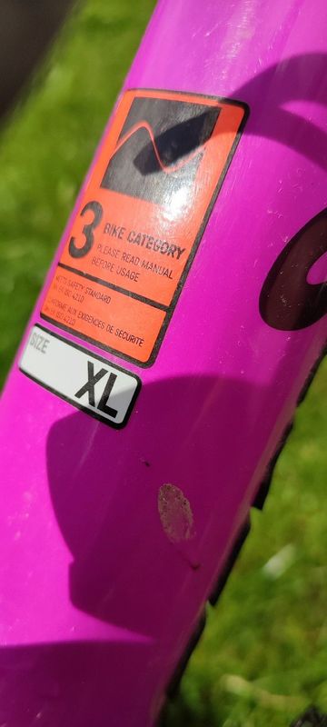 Used Canyon Exceed CF 6 2024 2024 Mountainbike, Purple, 29 — image 10 of 12