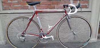 Used Colnago Master 2000 Road & Gravel