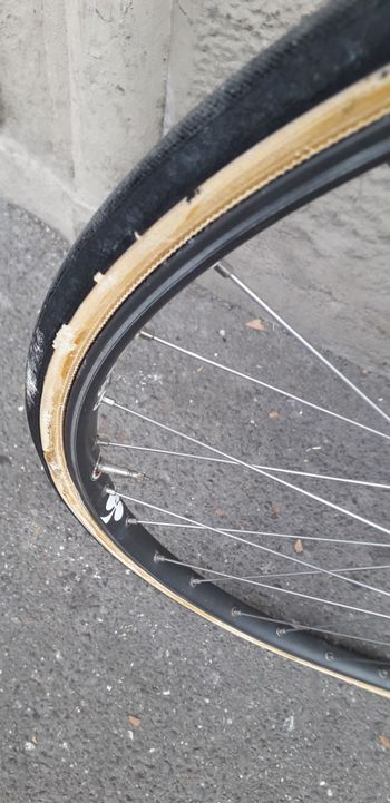 Used Colnago Master 2000 Road & Gravel, Red — image 12 of 12