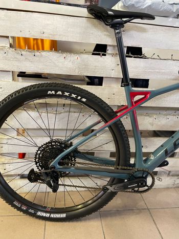Used Lapierre Prorace CF 5.9 2023 2023 Mountainbike, Blue, 29 — image 3 of 4