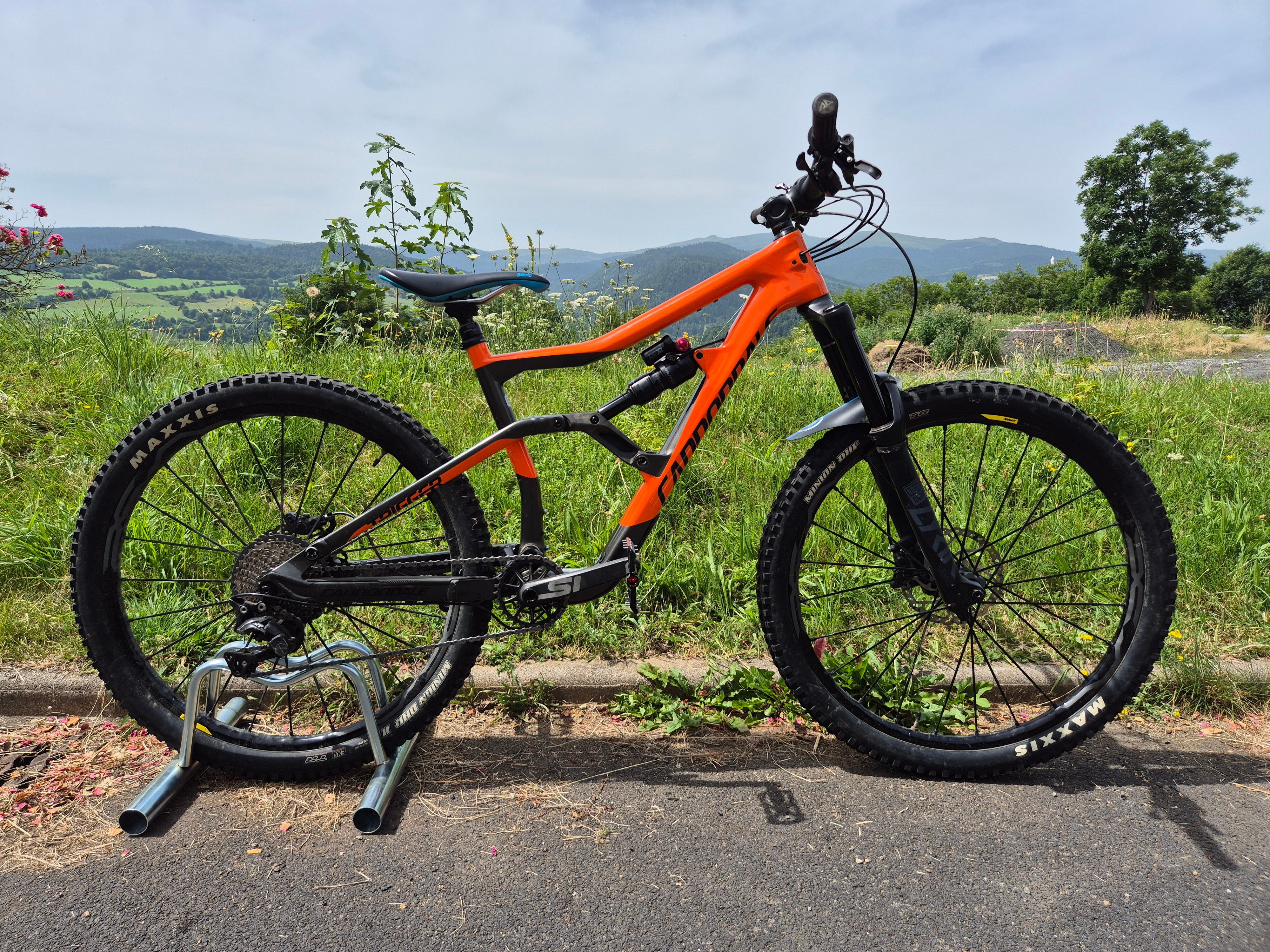 2019 cannondale trigger online