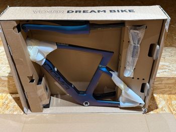 Used Pinarello Dogma F Disc Framset Frameset 2025 Road & Gravel, Blue — image 5 of 5