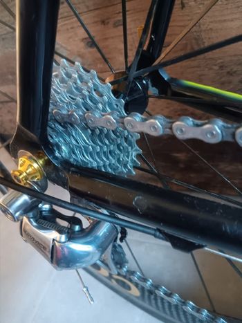 Used Colnago Team 2000 Tonnissteiner 2000 Road & Gravel, Azul — image 5 of 6