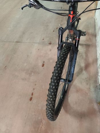 Used Wilier 110FX SHIMANO XT 1X12S 2.1 2023 2023 Mountainbike, Black, 29 — image 5 of 11