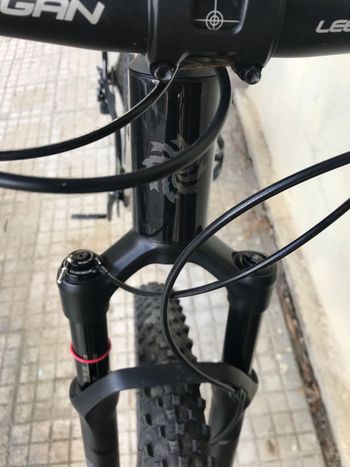 Used Lee Cougan Rampage 428 RE 2023 Mountainbike, Black, 29 — image 8 of 17