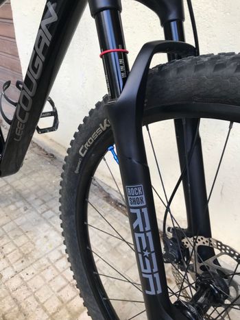 Used Lee Cougan Rampage 428 RE 2023 Mountainbike, Black, 29 — image 3 of 17
