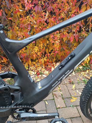Scott Spark RC Team 2022 2022 Mountainbike d'occasion — image 20 sur 54