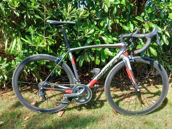 RIDLEY FENIX SL 2017 サイズS