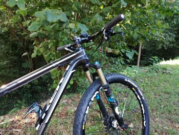 Used Trek Superfly 5 2014 2014 Mountainbike, Negro — image 5 of 5