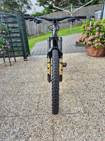Used Specialized Turbo Levo Expert 2022 Mountainbike, Schwarz — image 17 of 19
