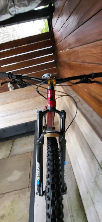 Used Vitus Mythique 26 2024 2024 Mountainbike — image 5 of 8