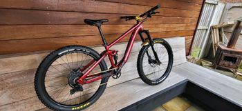 Used Vitus Mythique 26 2024 2024 Mountainbike — image 2 of 8