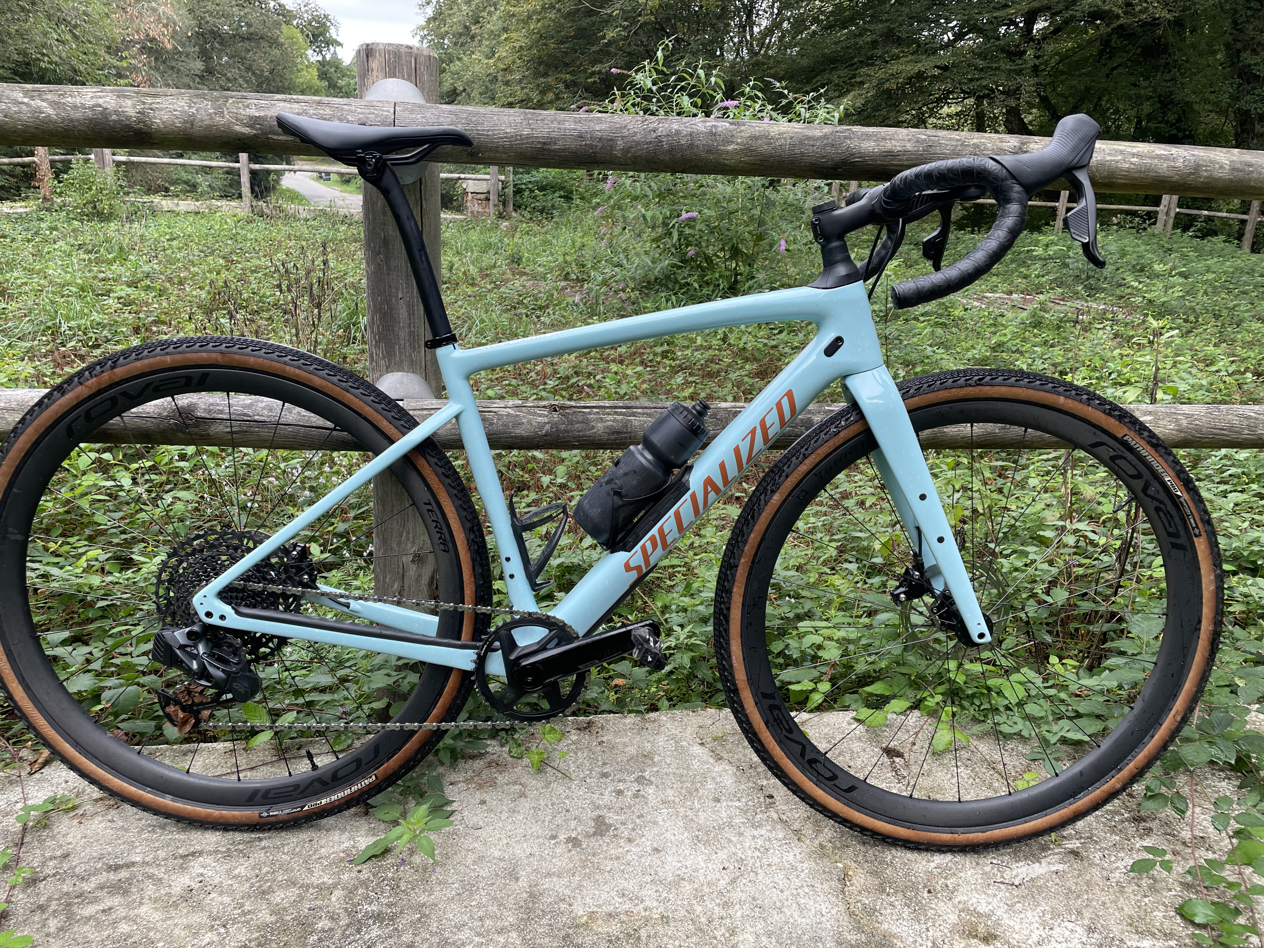 Diverge Expert Carbon