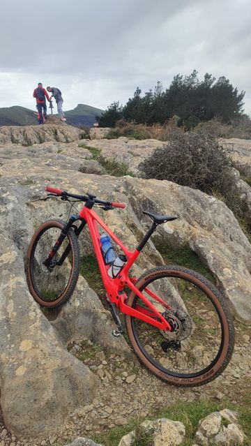 Used Scott Spark RC Team 2022 2022 Mountainbike, Red, 29 — image 2 of 8