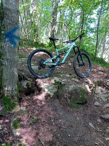 Used Specialized Status 160 2024 Mountainbike — image 3 of 4
