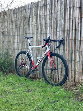 Colnago C59 Italia 2014 Road & Gravel d'occasion — image 3 sur 33