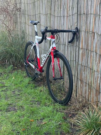 Colnago C59 Italia 2014 Road & Gravel d'occasion — image 4 sur 33