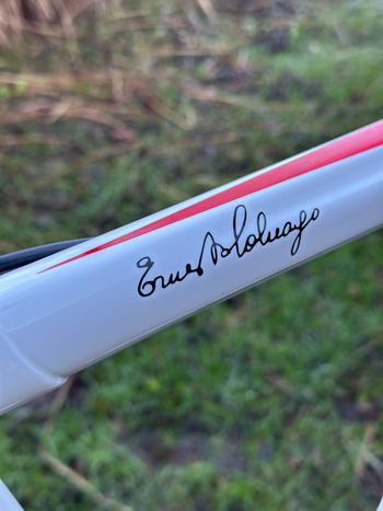 Colnago C59 Italia 2014 Road & Gravel d'occasion — image 31 sur 33