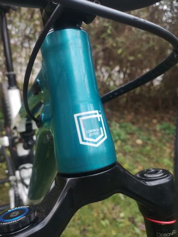Used Commencal Meta AM 29 2021 Mountainbike, shop.filter.color.1 — image 19 of 37