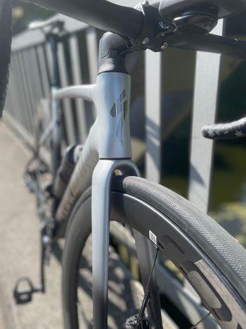 Used Specialized Allez Sprint 2023 Road & Gravel, Light Gray — image 2 of 3