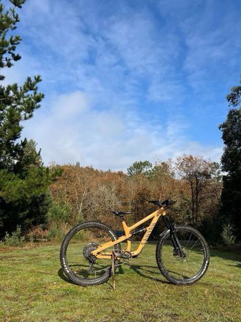 Used Canyon Spectral 5 2024 2024 Mountainbike, Orange, 27.5, 29 — image 4 of 4