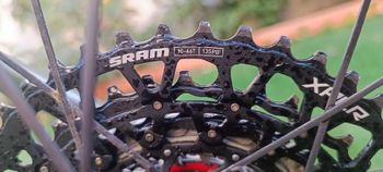 Used Canyon Grail CF SLX 8 AXS 2024 2024 Road & Gravel, Light Gray — image 6 of 9