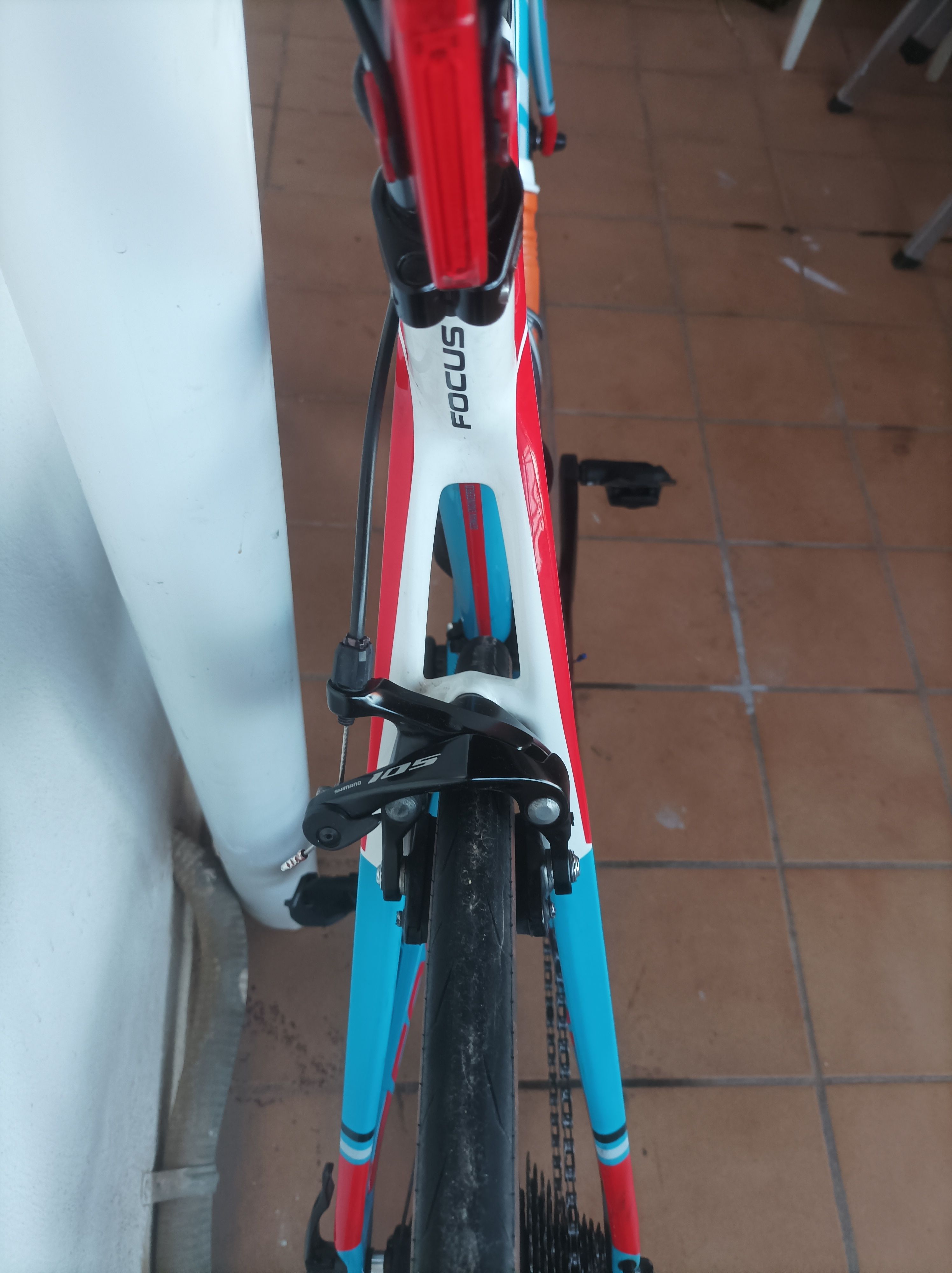 Focus top cayo reputable carbon