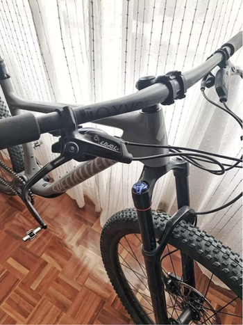 Used Specialized Epic EVO 2022 Mountainbike, Grigio chiaro — image 3 of 7