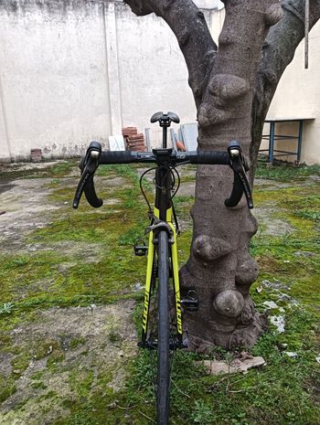 Used Giant TCR Advanced Pro 1 2017 2017 Road & Gravel, Black — image 6 of 10