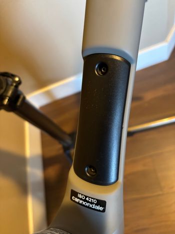 Used Cannondale Synapse Carbon 1 RLE Frameset 2022 Road & Gravel, Light Gray — image 5 of 10