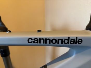 Used Cannondale Synapse Carbon 1 RLE Frameset 2022 Road & Gravel, Light Gray — image 2 of 10