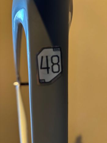 Used Cannondale Synapse Carbon 1 RLE Frameset 2022 Road & Gravel, Light Gray — image 4 of 10