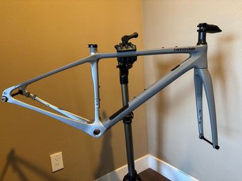 Used Cannondale Synapse Carbon 1 RLE Frameset 2022 Road & Gravel