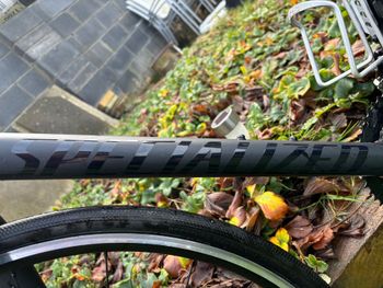 Used Specialized Allez Elite 2022 2022 Road & Gravel, Black — image 7 of 7