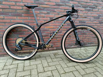 Used ROCKRIDER Race 900 Team Edition 2020 Mountainbike — image 1 of 3